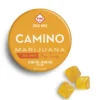 camino cannabis infused gummies