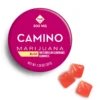 camino bliss gummies near me