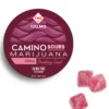 caminos gummies