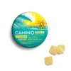 buy camino gummies online