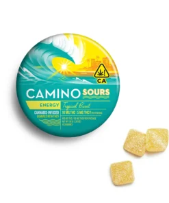 buy camino gummies online